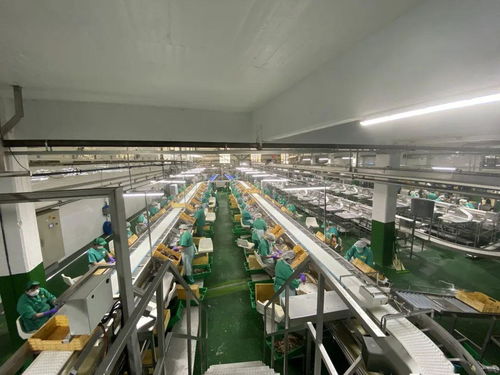 同心戰(zhàn)“疫” 光明食品集團(tuán)海外疫情防控與穩(wěn)產(chǎn)保供的實踐與啟示